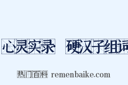 心灵实录·硬汉子组词是什么意思的图片